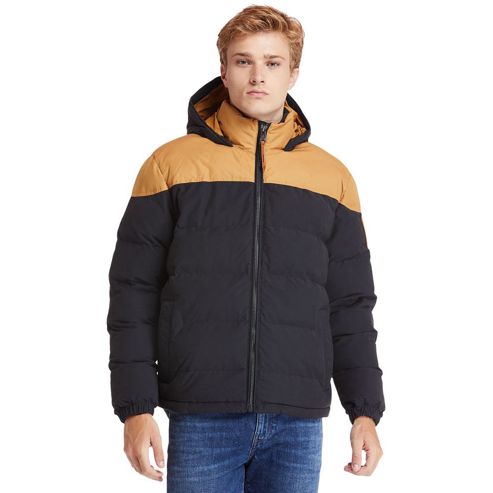 Chaquetas Timberland Argentina Hombre - Welch Mountain Warm Invierno - Marrones/Negras - SFLQDO-014